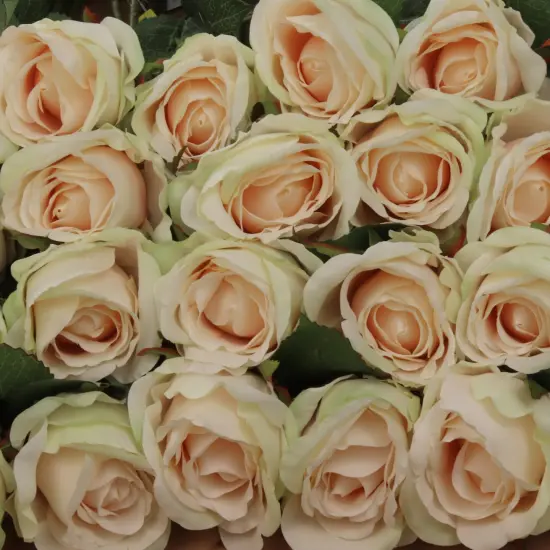 Rose Bud Stem - 48-Pack, Realistic Silk Foliage, Lifelike Blooms, Perfect for Floral Arrangements, Events & Home D&eacute;cor - Ideal for All Seasons, Floral Home by Artificial Flowers Champagne {3}