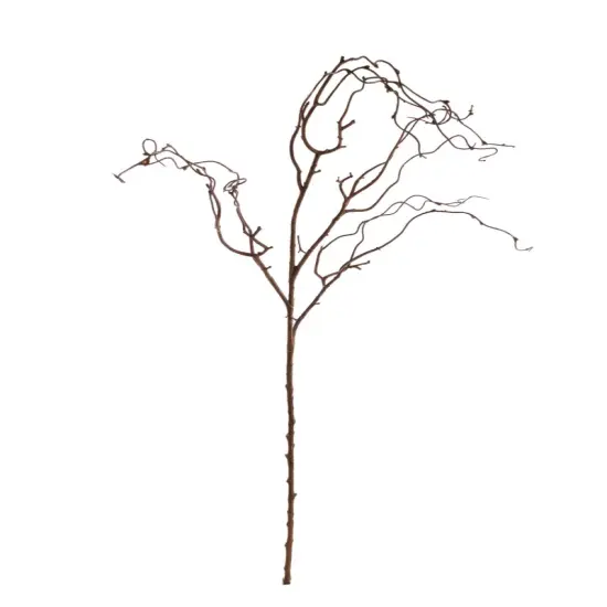 Natural Brown Twig Branch - 24-Pack, Realistic Stems, Lifelike Rustic D&eacute;cor, Perfect for Floral Arrangements, Events & Home - Ideal for All Seasons, Floral Home by Artificial Flowers {1}