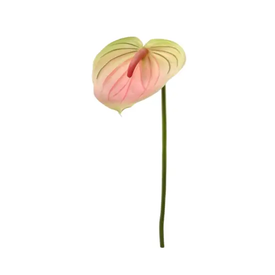 12-Pack: Real Touch Soft Pink & Green Anthurium Stem by Floral Home&reg; {1}