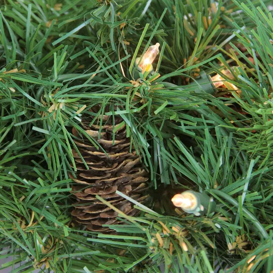 Northlight Pre-Lit Dakota Pine and Pinecone Artificial Christmas Wreath - 24" - Clear Lights Green {3}