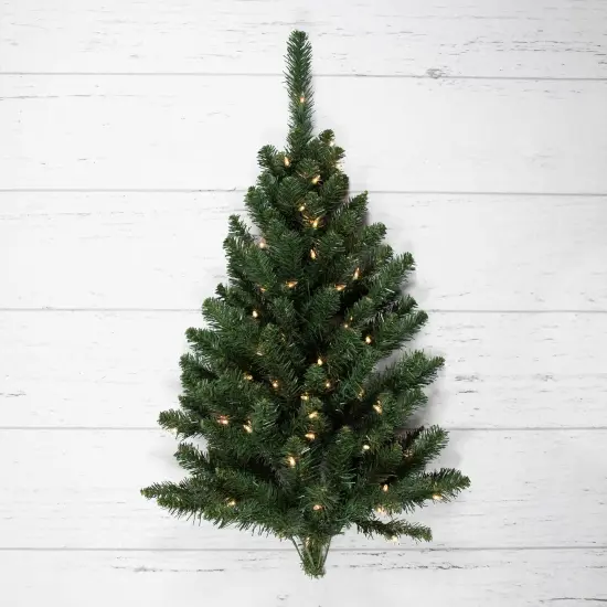 Northlight 3' Pre-Lit Buffalo Fir Artificial Christmas Wall or Door Tree, Clear AlwaysLit Lights Green {5}