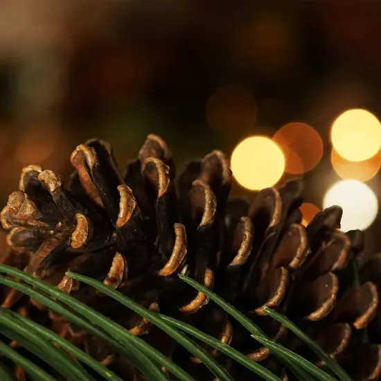 Allstate Long Pine Needle and Pinecone Artificial Christmas Wreath - 30" - Unlit Green {5}