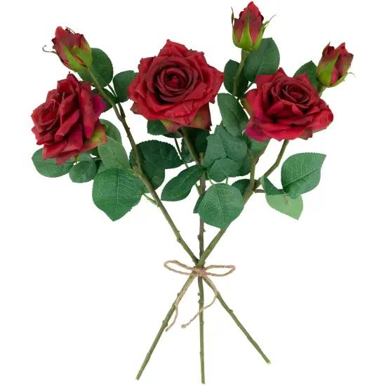 Northlight Real Touch&trade; Red Artificial Rose Stems, Set of 6 - 19" {5}