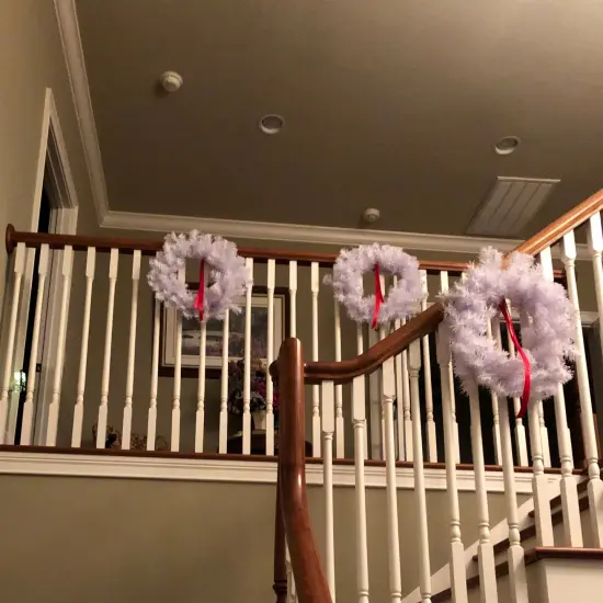 Northlight White Crystal Spruce Artificial Christmas Wreath - 20" - Unlit {5}