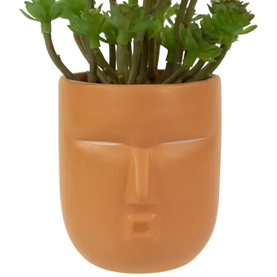 Northlight Mini Artificial Succulent in Face Planter Pot - 5.5" Green {5}