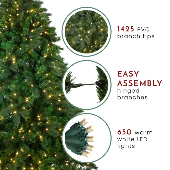 Northlight 7.5' Pre-Lit Medium Mixed Scotch Pine Artificial Christmas Tree - Warm White LED Lights Green {7}
