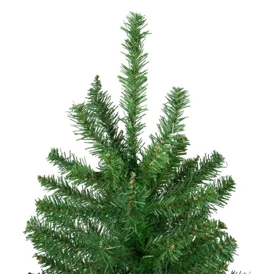 Northlight 6.5' Winona Fir Artificial Christmas Tree, Unlit Green {5}
