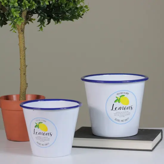 Raz Set of 2 Fresh from the Garden Lemon Metal Buckets 6.75" White {4}