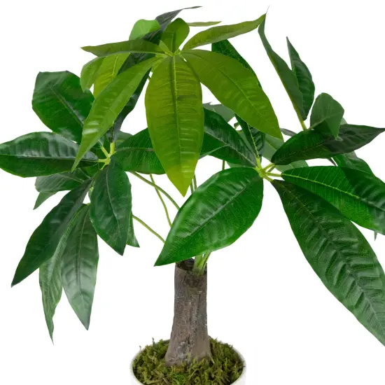Northlight Artificial Money Tree Plant in Textured Lined Pot - 18.5" Green {6}