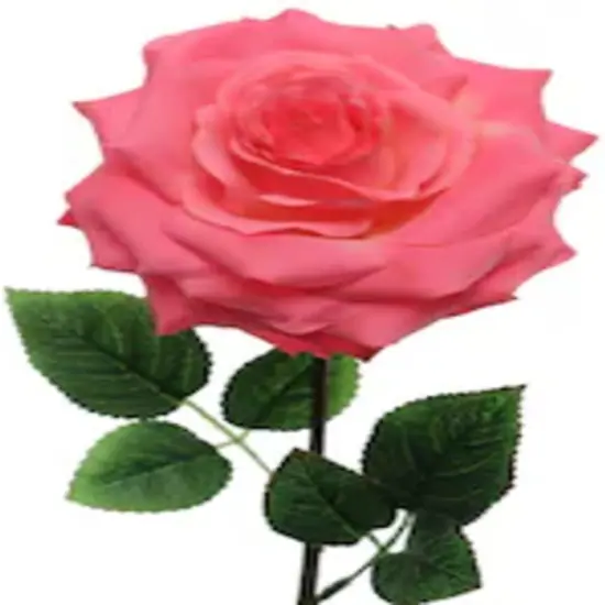 12-Pack: Open Rose Stem with Lifelike Silk Foliage, Floral Home by Artificial Flowers Fuchsia {1}