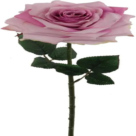 12-Pack: Open Rose Stem with Lifelike Silk Foliage, Floral Home by Artificial Flowers Lavender {1}