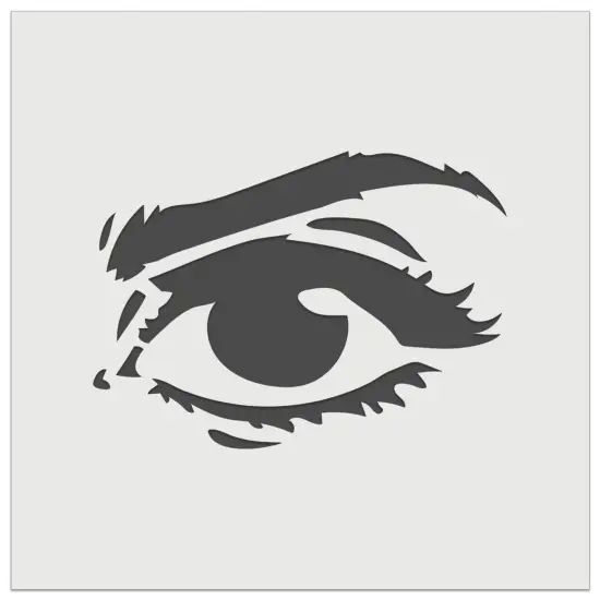 Woman's Right Eye with Eyebrow Mascara and Eye Shadow Wall Cookie DIY Craft Reusable Stencil {7}