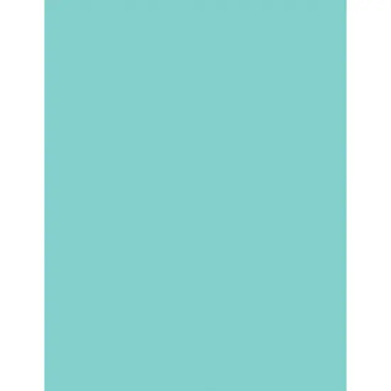 Bazzill Smoothies Cardstock 8.5"X11" {2}