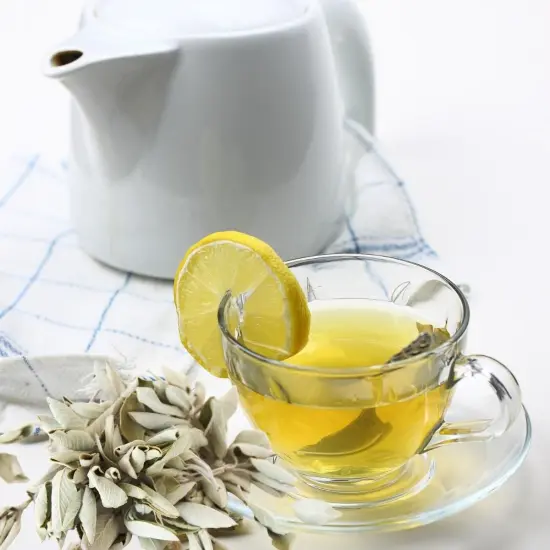 White Tea & Sage Fragrance Oil (Our Version of the Brand Name) (4 oz Bottle) for Candle Making, Soap Making, Tart Making, Room Sprays, Lotions, Car Fresheners, Slime, Bath Bombs, Warmers&hellip; {2}