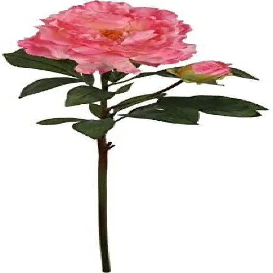 Lifelike 30" Realistic Pink Silk Peony Stem - Elegant and Versatile Floral Decor for Any Occasion {1}