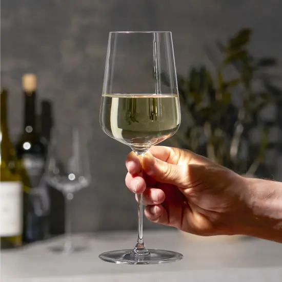 Spiegelau Definition 15.2 oz White Wine Glass (set of 2) {2}