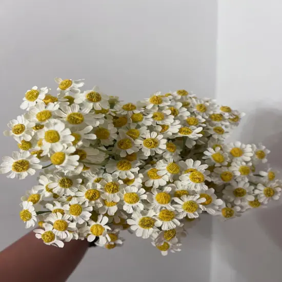 12Pcs Artificial Daisy Flowers Small Daisy Flowers, White Fake Daisies Wild Flowers for Party, Home, Wedding Decor {6}