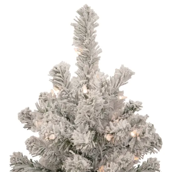 Northlight 2' Pre-Lit Flocked Madison Pine Artificial Christmas Tree, Clear Lights Green {5}