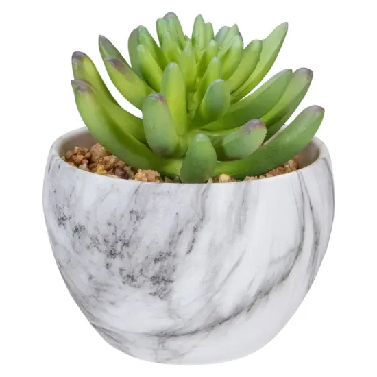 Northlight 4.25" Green Artificial Succulent in Faux Marble Pot {1}
