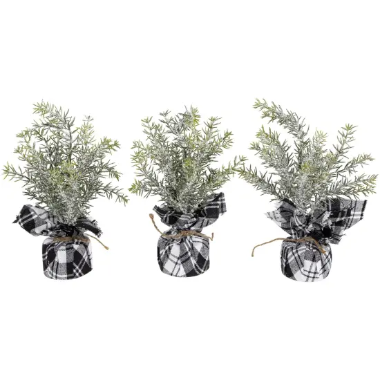 Northlight Mini Frosted Pine Artificial Christmas Trees - 9" - Set of 3 Green {1}