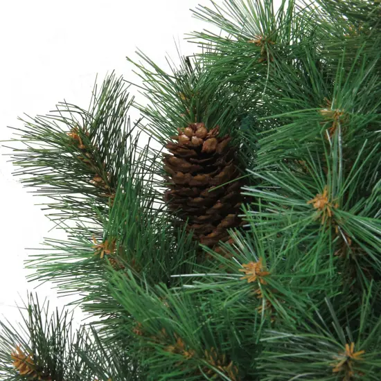 Northlight Royal Oregon Pine Artificial Christmas Wreath with Pinecones - 24" - Unlit Green {6}