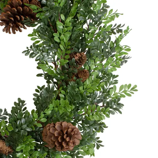 Northlight Boxwood and Pine Cone Artificial Christmas Wreath - 27" - Unlit Green {3}