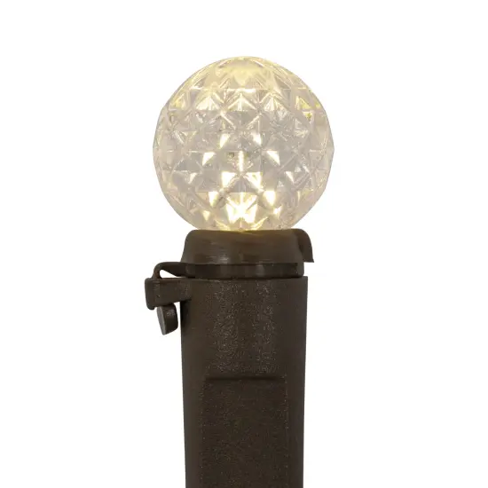 Northlight LED G12 Berry Christmas Lights - Warm White - 16' Brown Wire - 50ct {5}