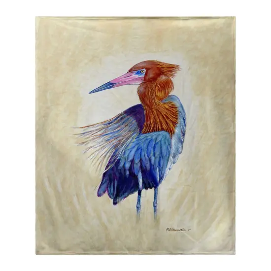 Betsy Drake Reddish Egret Portrait Bk Multicolor {1}