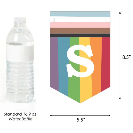 Big Dot of Happiness So Many Ways to Be Human - Pride Party Bunting Banner - Party Decorations {4}