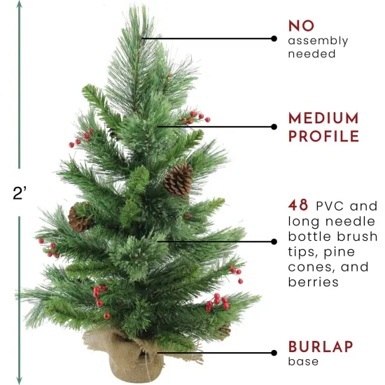 Northlight Mixed Cashmere Berry Pine Medium Artificial Christmas Tree - 24" - Unlit Green {7}