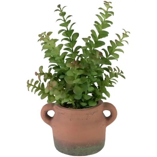 Northlight Real Touch&trade; Artificial Privet Plant in Vintage Milk Can Style Earthenware Pot - 14" Green {6}