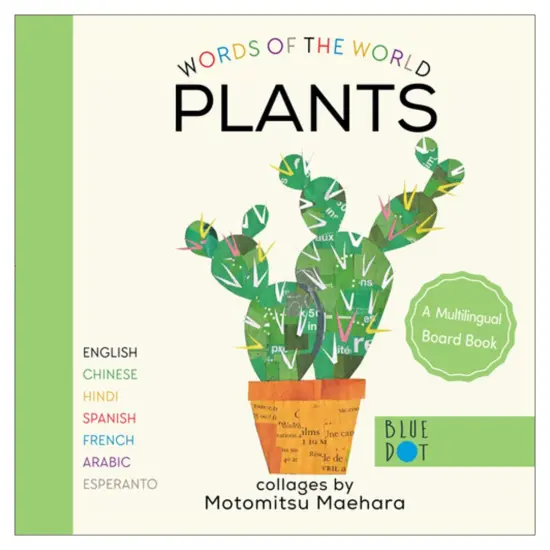 Ingram Publishers Words of the World Board Books - Set of 4 {6}