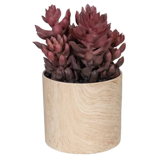Northlight 7" Purple Artificial Succulent in Faux Wood Pot {1}