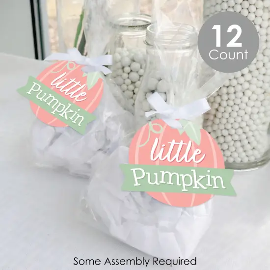 Big Dot of Happiness Girl Little Pumpkin - Fall Birthday Party or Baby Shower Clear Goodie Favor Bags - Treat Bags With Tags - Set of 12 {3}