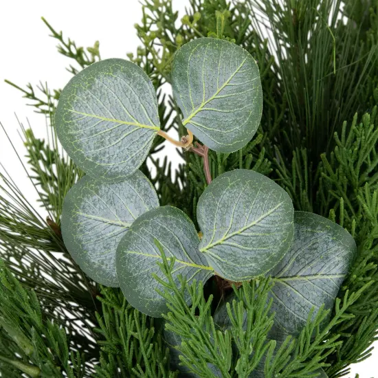 Northlight Real Touch&trade;️ Mixed Pine and Eucalyptus Artificial Christmas Wreath- 24" - Unlit Green {5}