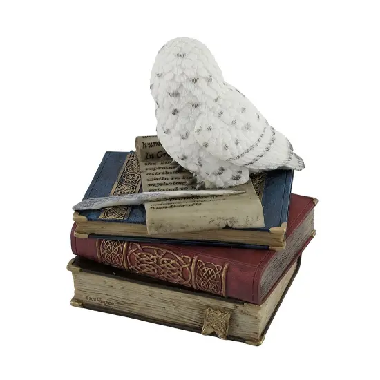 Wise Snow Owl Resting on Scholar`s Books Trinket Box {4}