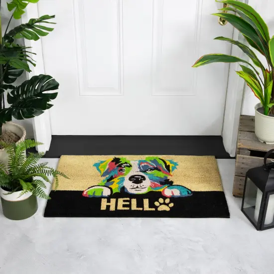 Northlight Ivory and Black "Hello" Multicolor Dog Outdoor Coir Doormat 18" x 30" {3}