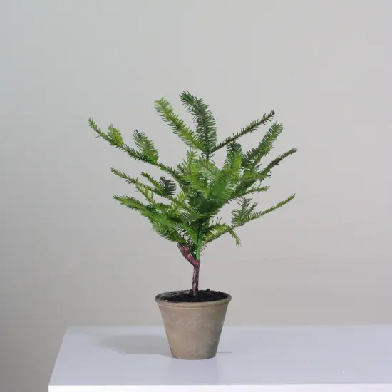Allstate Artificial Mini Pine Tree in Paper Mache Pot - 17" - Green {3}