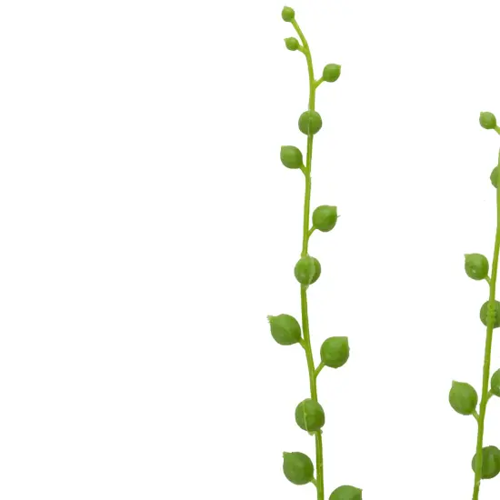 Allstate String of Pearls Artificial Spray - 30" - Green {4}