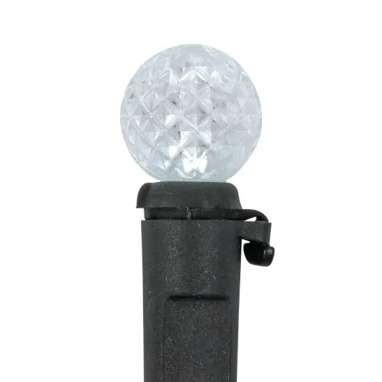 Northlight LED G12 Berry Christmas Lights - Pure White - 16' Black Wire - 50ct {5}