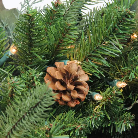 Northlight Pre-Lit Potted Mixed Winter Pine Medium Artificial Christmas Tree - 5' - Clear Lights Green {3}