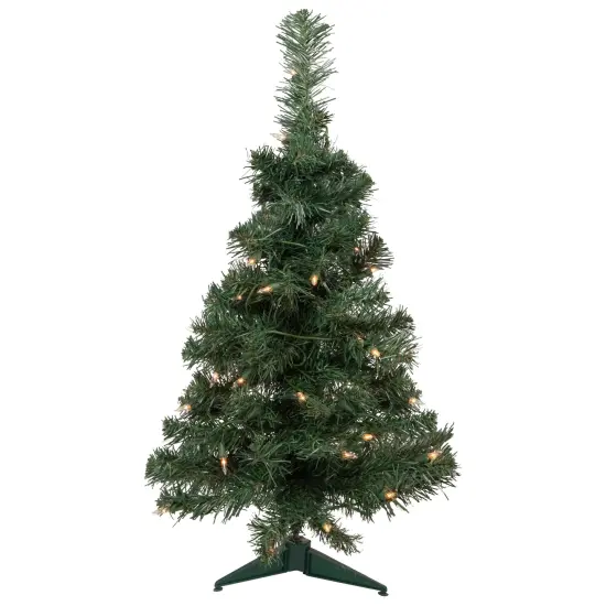 Northlight Pre-Lit Medium Blackwater Fir Artificial Christmas Tree - 2' - Clear Lights Green {3}