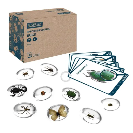 Kaplan Early Learning Company Specimen Stones: Bugs - 9 Pieces {1}