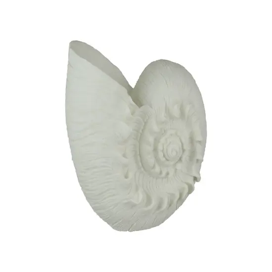 White Sandstone Finish Frilled Nautilus Shell Accent Lamp 10 Inches High {1}