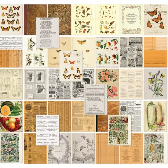 49 And Market Collage Sheets 6"x8" 40/Pkg-Color Swatch: Peach {2}