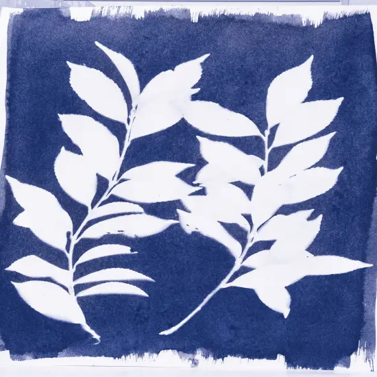 Jacquard Cyanotype Chemistry Set {5}