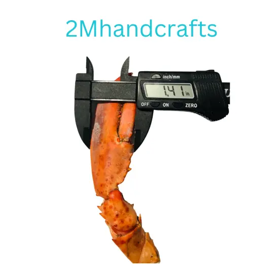 1pc Realistic Cooked Left Lobster Claw Silicone Mold| Food Shape Silicone Mold| Soap| Candle | Mold for Wax| Mold for Resin| Not Food Grade {4}