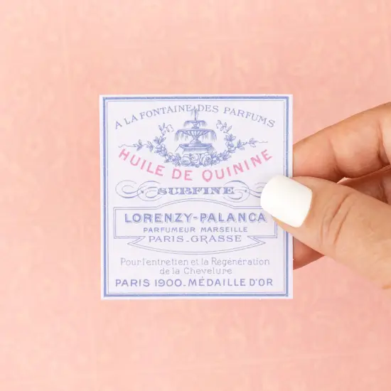 Maggie Holmes Parasol Ephemera Cardstock Die-Cuts 40/Pkg-Icons, Cardstock & Vellum W/Gold Foil {4}