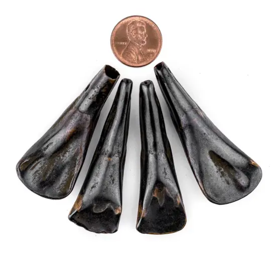 The Bead Chest Dark Brown Water Buffalo Tooth Pendants Set of 4 Nepal Bone Large Hole {2}
