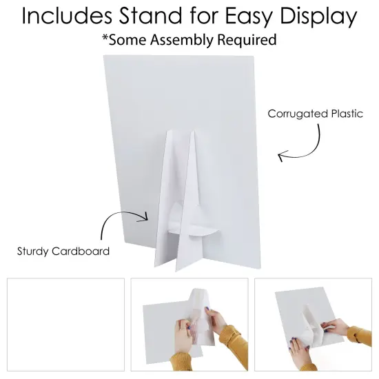 Big Dot of Happiness Take Some Pics Funny Photo Booth Sign - Printed on Sturdy Plastic Material - 10.5 x 13.75 inches - Sign with Stand - 1 Piece {6}